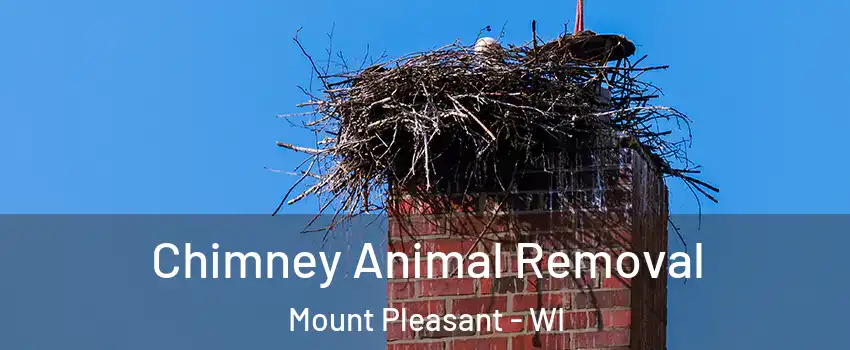  Chimney Animal Removal Mount Pleasant - WI