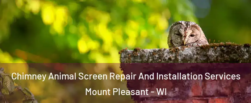  Chimney Animal Screen Repair And Installation Services Mount Pleasant - WI