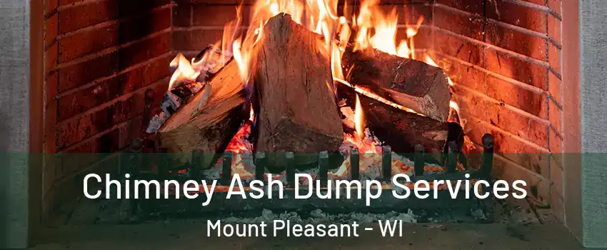  Chimney Ash Dump Services Mount Pleasant - WI