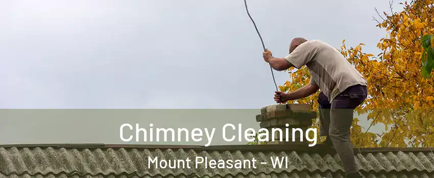  Chimney Cleaning Mount Pleasant - WI