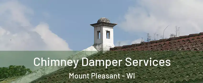  Chimney Damper Services Mount Pleasant - WI