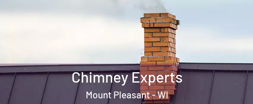  Chimney Experts Mount Pleasant - WI