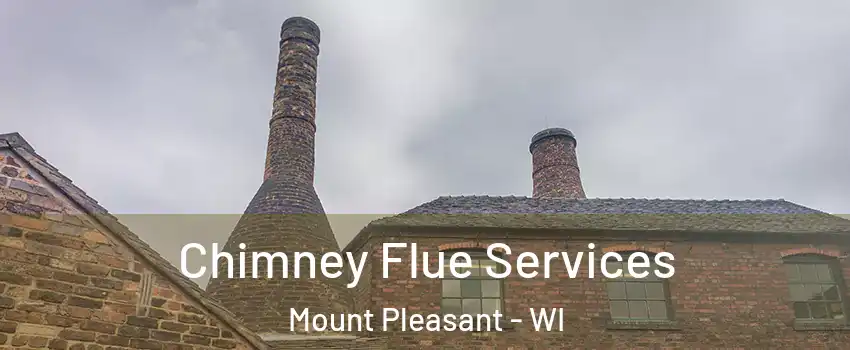  Chimney Flue Services Mount Pleasant - WI