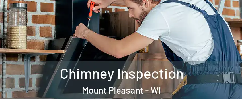  Chimney Inspection Mount Pleasant - WI