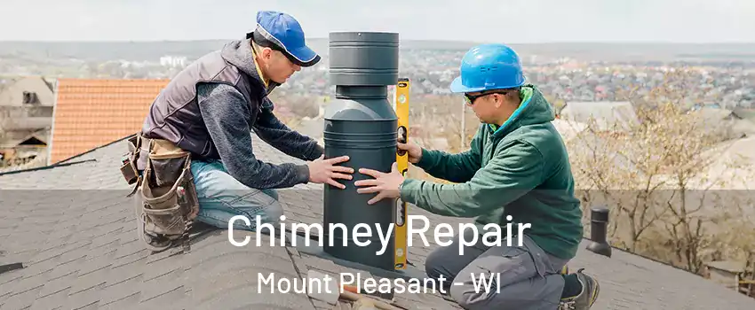  Chimney Repair Mount Pleasant - WI