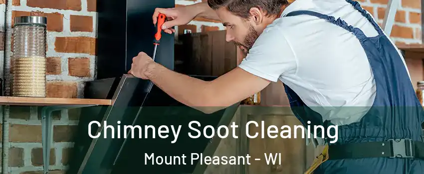  Chimney Soot Cleaning Mount Pleasant - WI
