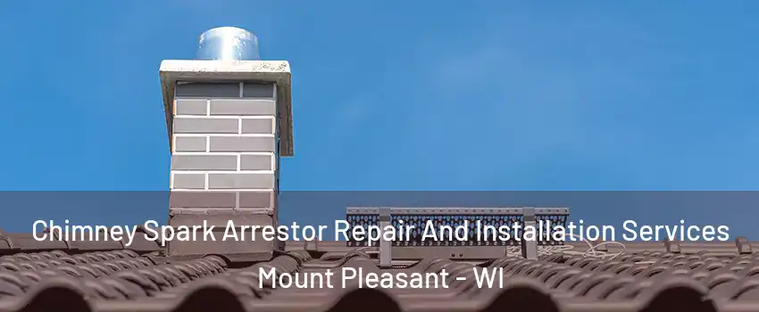  Chimney Spark Arrestor Repair And Installation Services Mount Pleasant - WI