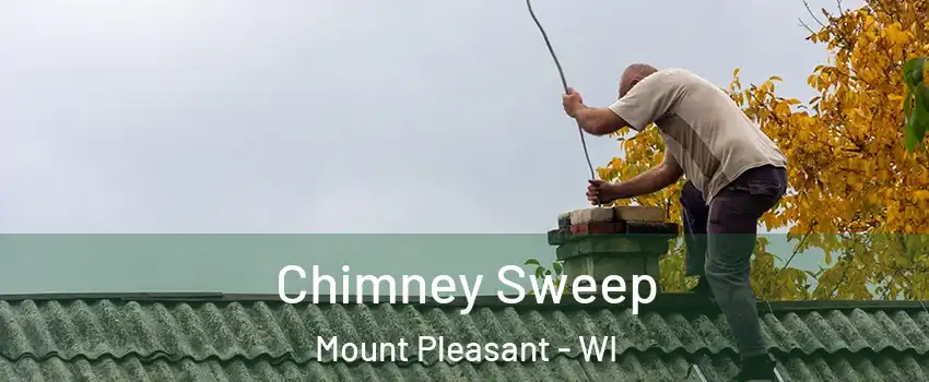  Chimney Sweep Mount Pleasant - WI