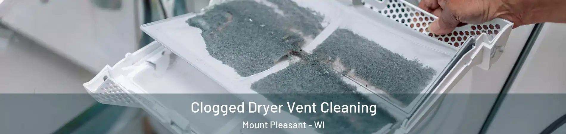  Clogged Dryer Vent Cleaning Mount Pleasant - WI