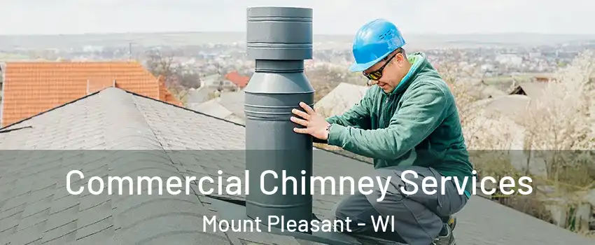  Commercial Chimney Services Mount Pleasant - WI