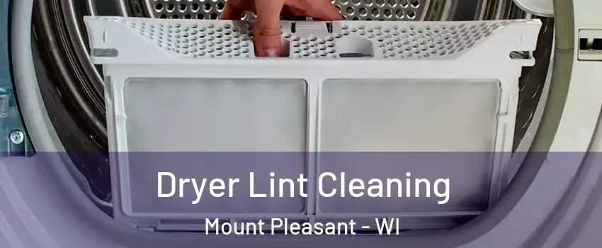  Dryer Lint Cleaning Mount Pleasant - WI