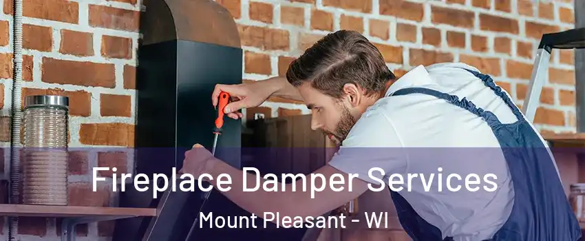  Fireplace Damper Services Mount Pleasant - WI