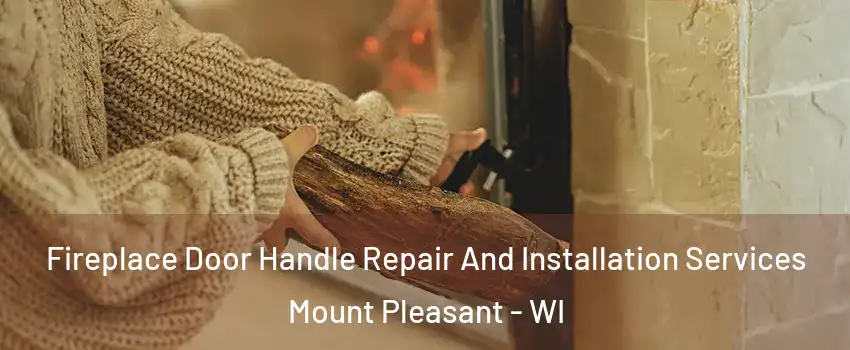  Fireplace Door Handle Repair And Installation Services Mount Pleasant - WI