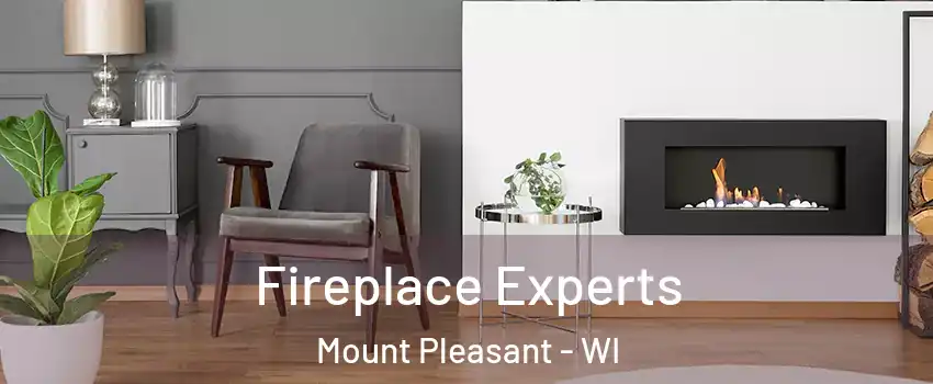  Fireplace Experts Mount Pleasant - WI