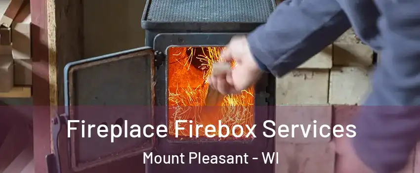  Fireplace Firebox Services Mount Pleasant - WI