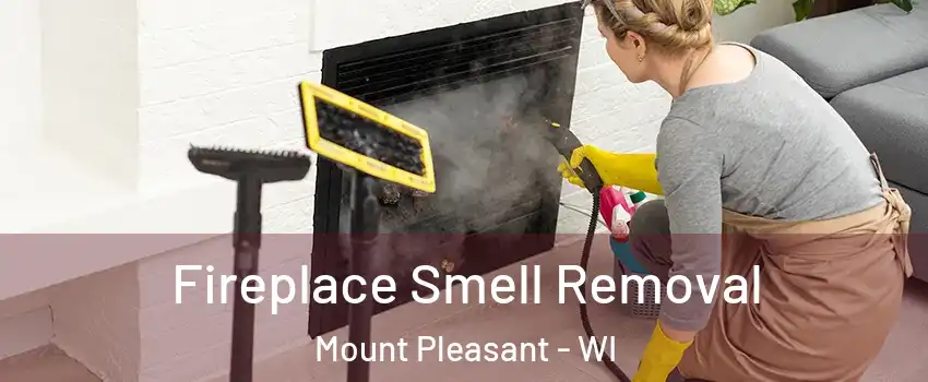  Fireplace Smell Removal Mount Pleasant - WI