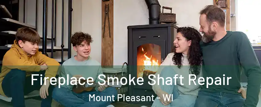  Fireplace Smoke Shaft Repair Mount Pleasant - WI
