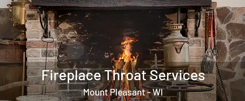  Fireplace Throat Services Mount Pleasant - WI