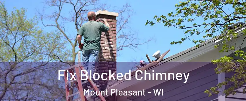 Fix Blocked Chimney Mount Pleasant - WI
