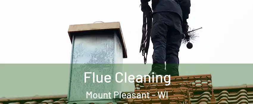  Flue Cleaning Mount Pleasant - WI
