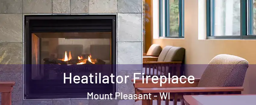  Heatilator Fireplace Mount Pleasant - WI