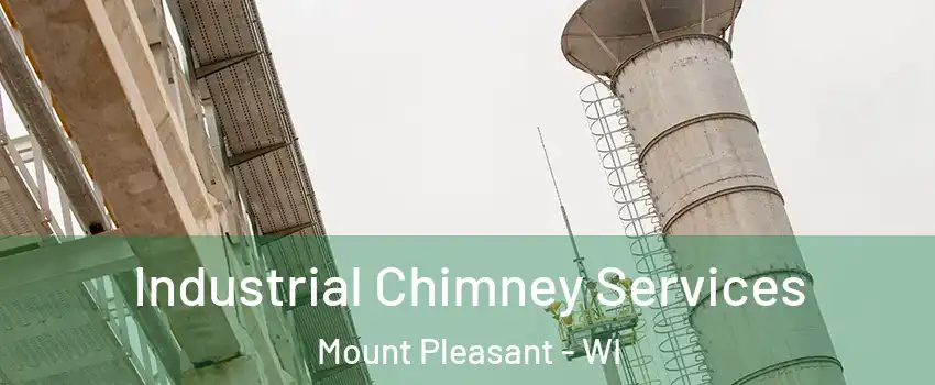  Industrial Chimney Services Mount Pleasant - WI