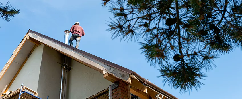 Birds Removal Contractors from Chimney in Mount Pleasant, WI