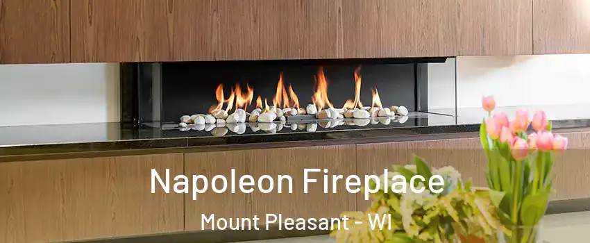  Napoleon Fireplace Mount Pleasant - WI