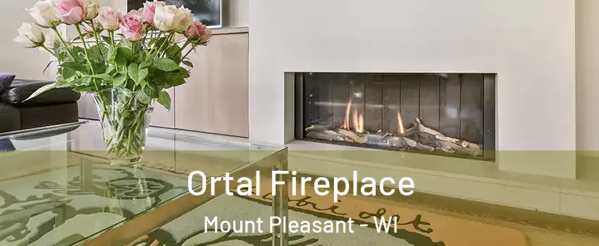  Ortal Fireplace Mount Pleasant - WI