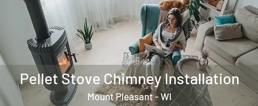  Pellet Stove Chimney Installation Mount Pleasant - WI