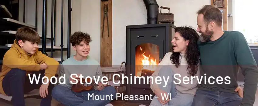  Wood Stove Chimney Services Mount Pleasant - WI